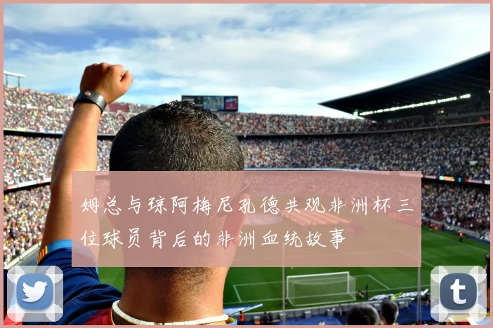 姆总与琼阿梅尼孔德共观非洲杯三位球员背后的非洲血统故事