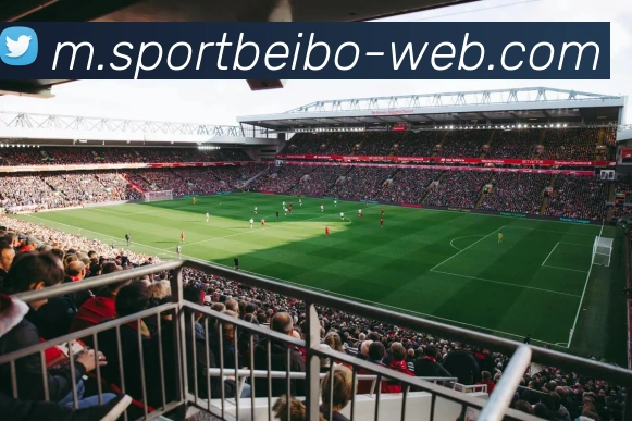 贝博体育APP 封面图